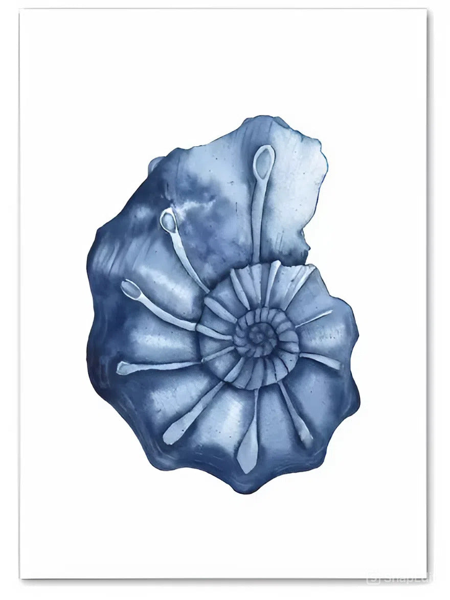 Velvor™ Ocean Arts