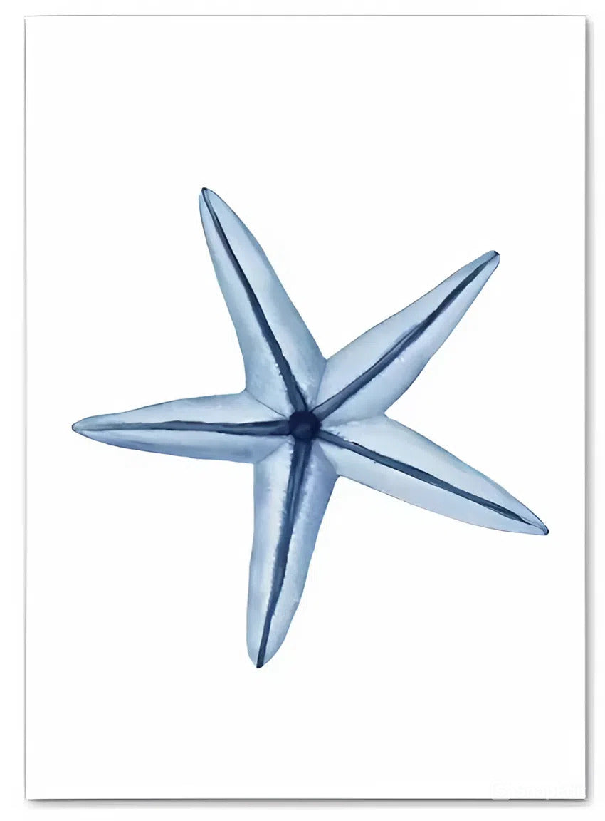 Velvor™ Ocean Arts