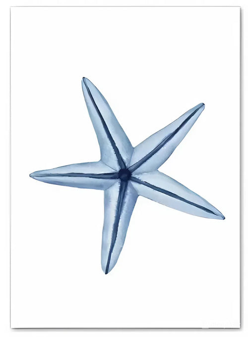 Velvor™ Ocean Arts